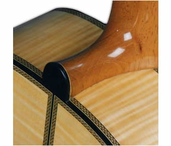 Collector series guitar detail